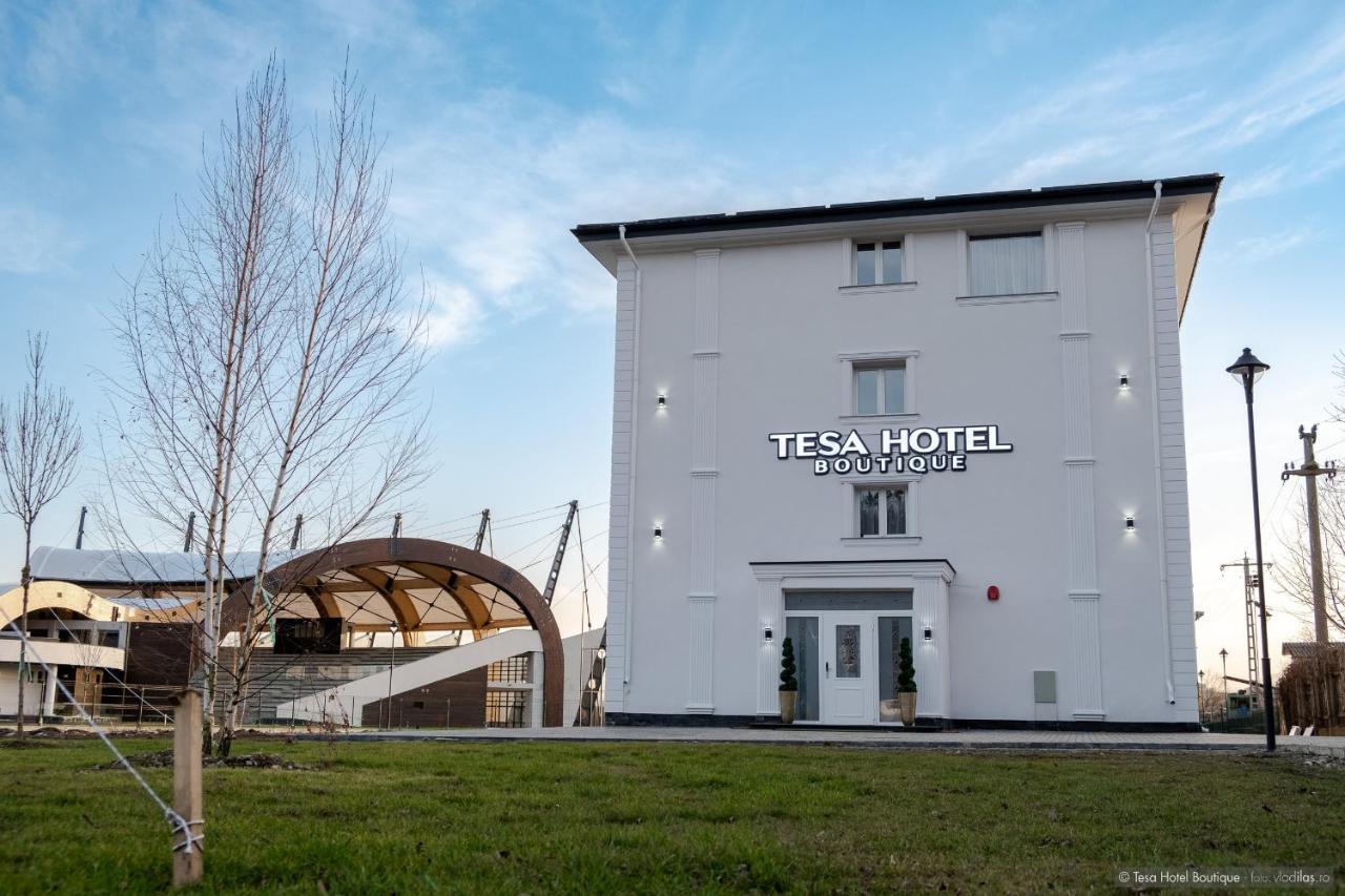 Tesa Boutique Hotel Târgu Neamţ Exterior foto